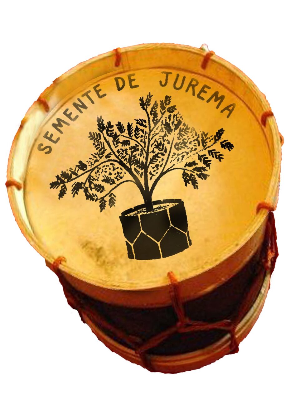semente de jurema