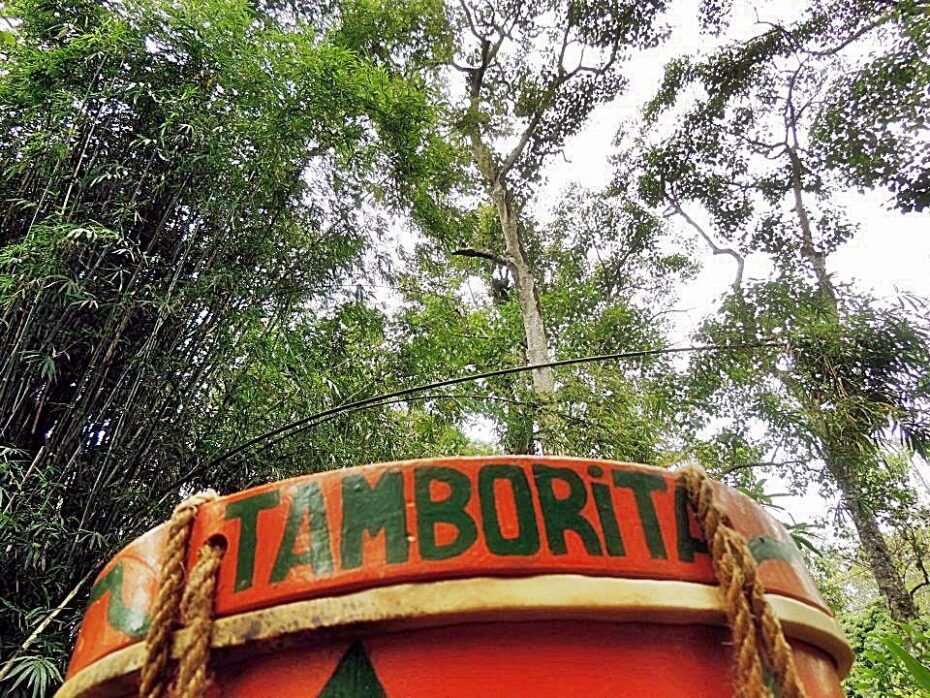 tamborita1