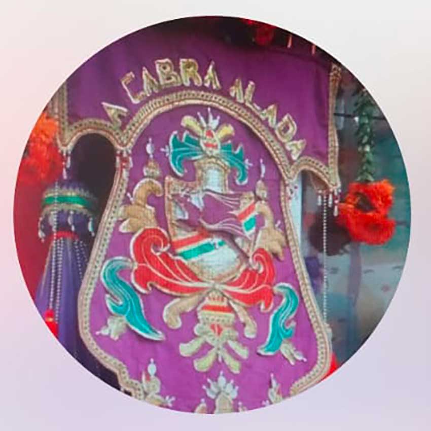 Cabra-Alada-PE